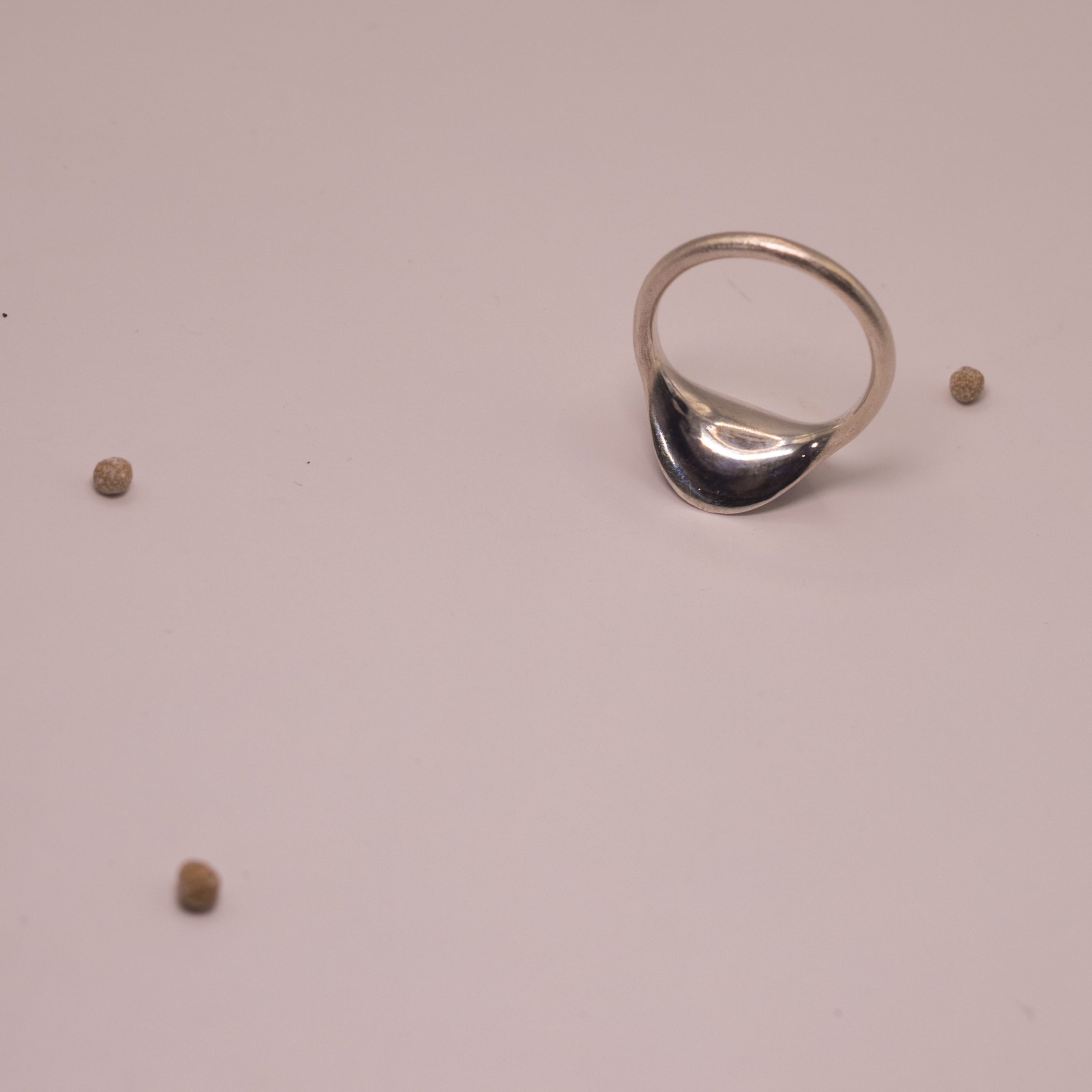 Sun and Orbit Ring
